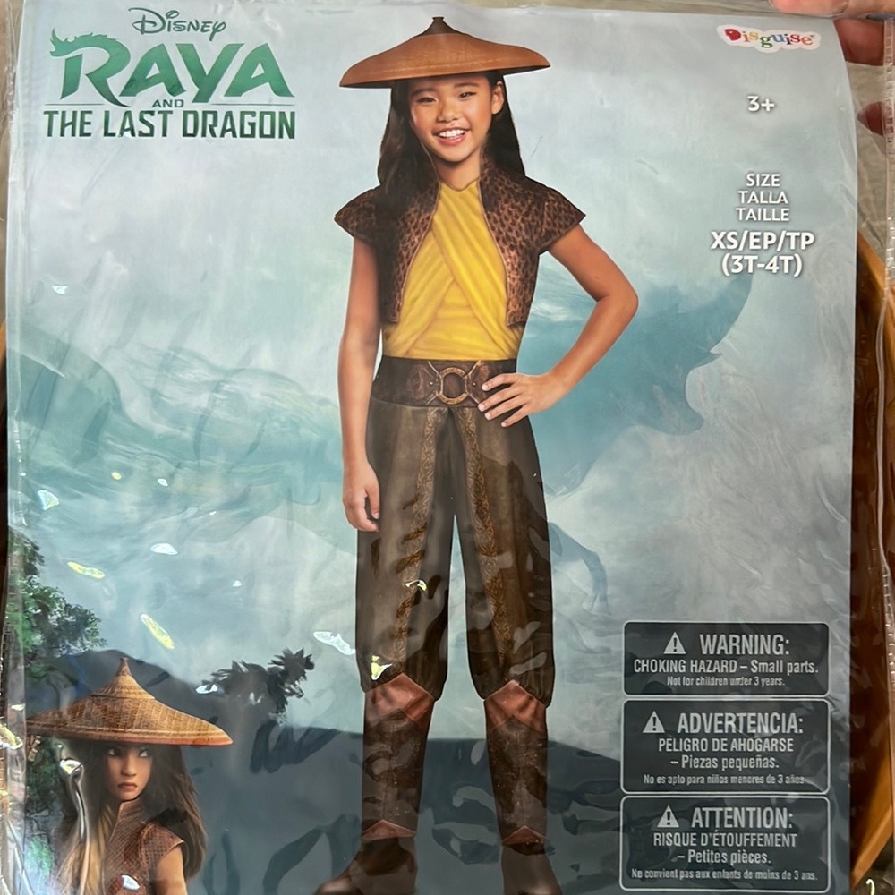 Disney Raya Costume Size XS (3T-4T)